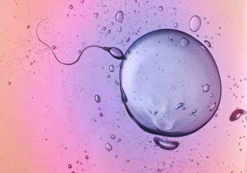 杭州代生公司：﻿枣庄市妇幼保健院试管婴儿科普知识导航，附三代成功率预估