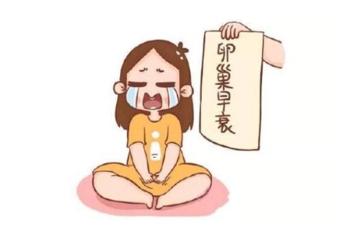 杭州供卵试管：﻿优势卵泡大小受哪些因素影响？综合因素分析速览！