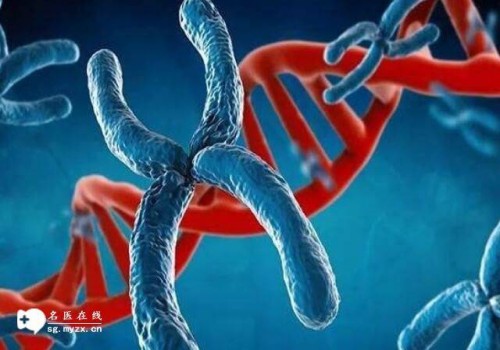 杭州代怀生男孩机构：﻿在冷冻卵子手术前后我们都要注意些什么？