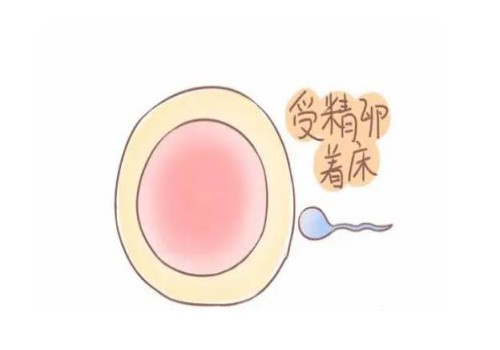 黄河三门峡医院试管婴儿医疗团队介绍，内附成功率及其费用明细！