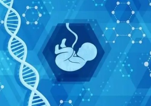 杭州代怀公司：﻿2023年试管助孕指南：想做试管但不了解的患者赶紧收藏
